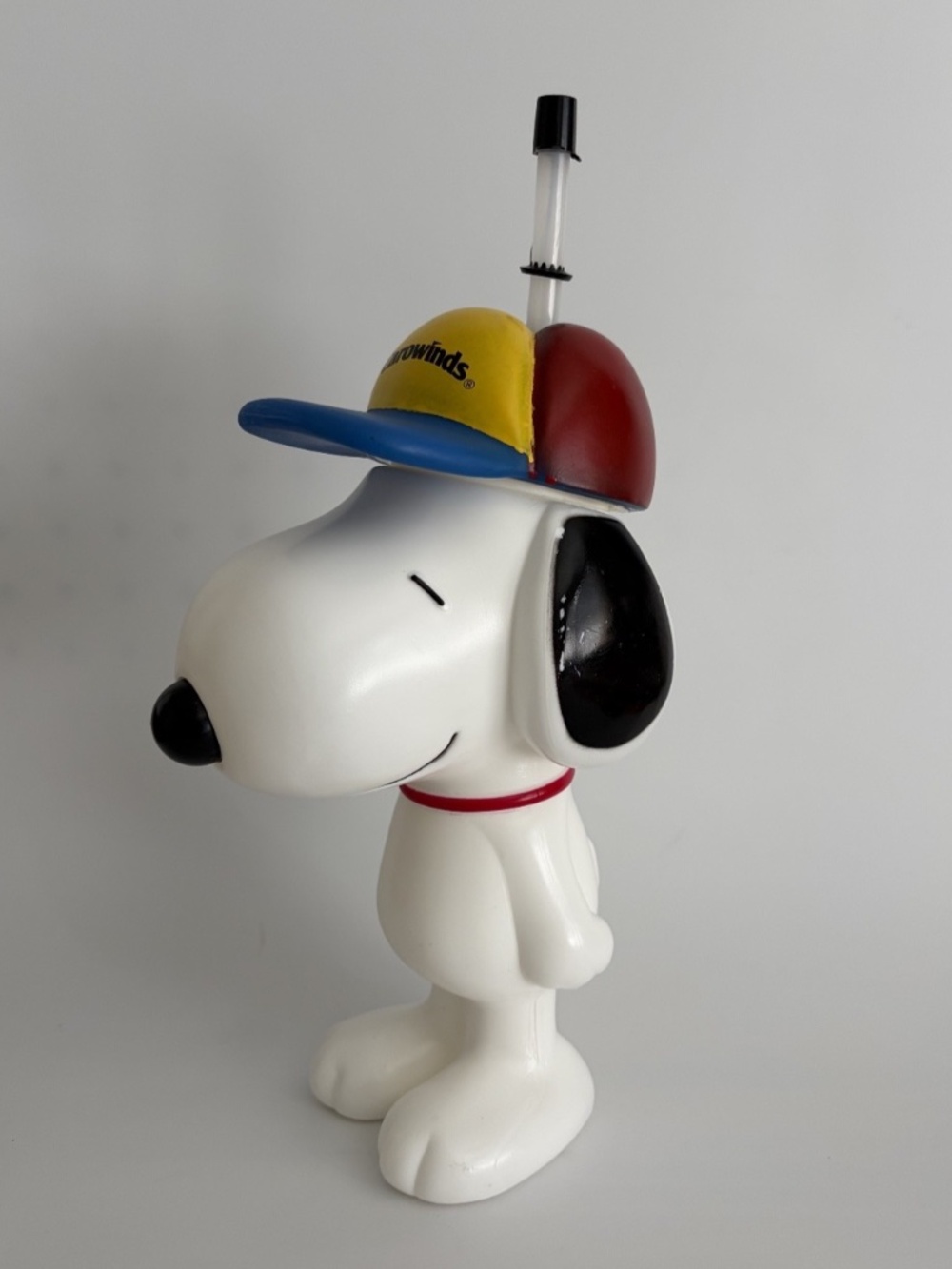 Carowinds Snoopy Peanuts 2010 Souvenir Plastic Water Bottle Collectible w/Straw